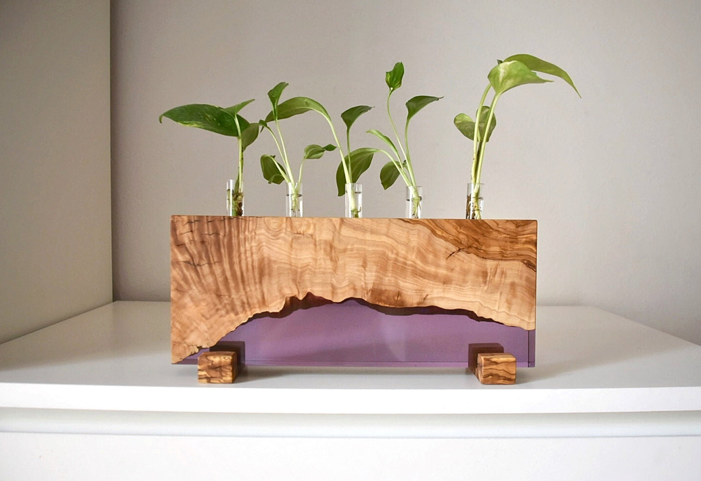 Handmade Olive Wood Propagation Station, Epoxy Resin Plant Stand
