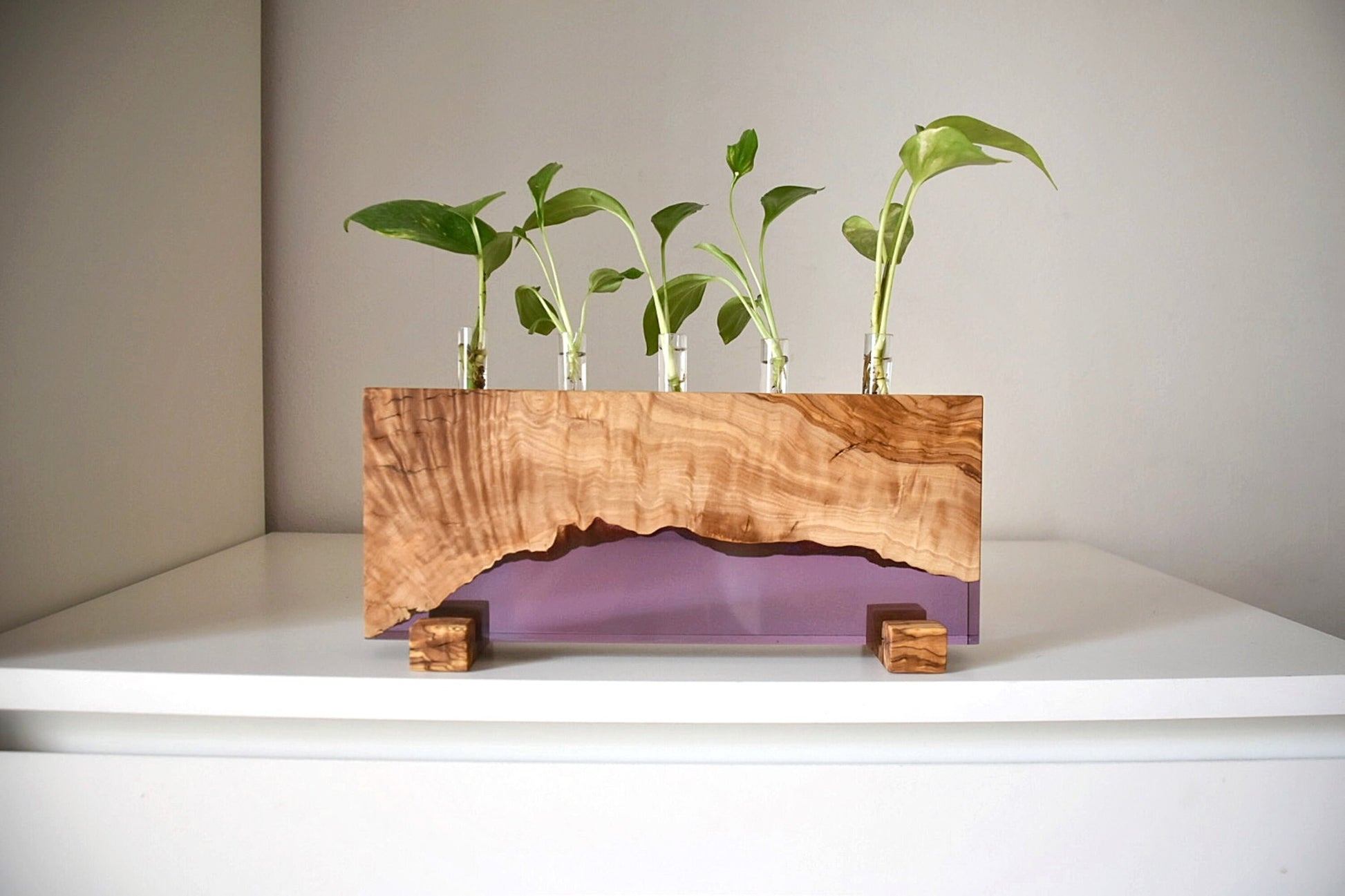 Macetero decorativo de madera de olivo con resina epoxi lila y plantas de interior.
