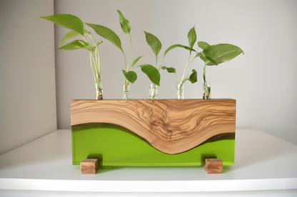 Macetero de madera de olivo con resina epoxi verde para esquejes y propagación.